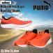 �����j���O�V���[�Y �v�[�} PUMA ���f�B�[�� �v�� ���[�T�[ �����V���[ ���b�h/�O���}�[ �֘A�摜1