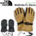  сноуборд перчатка перчатки 23-24 The North Face THE NORTH FACE WALLRIDE FL GLOVE wall ride FL перчатка 23-24-GR-TNF кожа Future свет 