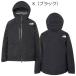 �\�� 26-27 THE NORTH FACE LAYBACK BC JACKET �U�E�m�[�X�t�F�C�X ���C�o�b�N BC �W���P�b�g �X�m�[�{�[�h�E�F�A �S�A�e�b�N�X 26-27-JK-TNF ���K�i �֘A�摜2