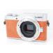 Panasonic Panasonic LUMIX GF9 orange корпус Schott число 5570 раз 