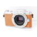 Panasonic Panasonic LUMIX DMC-GF7 Brown корпус Schott число 10362 раз 