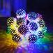 LED�C���~�l�[�V���� �\�[���[�[�d�� �K�[�f�����C�g �d�� 20���{�[�� �����b�R