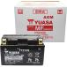  Taiwan Yuasa TTZ10S защита type AGM аккумулятор для мотоцикла (TAIWAN YUASA)