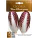 [ Италия. овощи. вид ]Hortus фирма leaf цикорий ( rosso titore vi -zo Plecostomus - che вид )bsocic029 { фиксация вид }