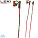 rekiGS рейсинг paul (pole) World Cup GS карбоновый красный LEKI WCR GS Carbon TR 65667671