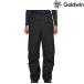  goldwin Gore-Tex лыжи брюки L размер черный Goldwin GORE-TEX 2L Pants G33354 BK