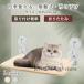  кошка кошка bed гамак кошка кошка склеивание тип окно присоска тип башня для кошки .. The Aristocats подножка окно кошка bed подвешивание ниже bed окно ..