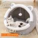  кошка house домашнее животное bed купол type собака кошка bed зима модный house теплый нежный кошка bed подушка купол bed S размер 