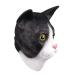  Halloween маска, симпатичный кошка маска party Novelty животное head Raver la Tec s маска .... украшать u Эдди ng маска 