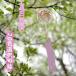  Edo ветряной колокольчик стекло ветряной колокольчик ветряной колокольчик Sakura покраска ручная работа ветряной колокольчик ... звук ветряной колокольчик праздник ветряной колокольчик .... исключая ........... ощущение лето. способ предмет поэзия модный окно 