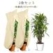  pouch type protection against cold measures plant protection against cold cover planter winter .. prevention . light . snow protection . manner zipper type interior outdoors 2 pieces set repeated use possibility gardening supplies .. endurance 