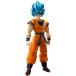 S.H.Figuarts ѡͥåɥѡ¹-Ķ-