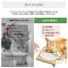 �y�b�g�H��� �t�[�h�{�E�� 2�A 3�A ����{�E�� �� �L �������� �H�ׂ₷�� �X�� �a�M �l�R�{�E�� ������ �H��@�Ή� �f���߂��y�� �� �t�[�h���� �΂ߐ݌v �֘A�摜3