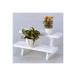  flower stand 2 step 600mm(2-600) woman also easy assembly! compact flower stand 