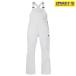  одежда для сноуборда bib брюки женский BURTON Barton AVALON GORE-TEX BIB 22-23 модель фиолетовый спорт JJ B24
