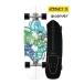 CARVER CarVer длинный скейтборд LAND skate 30.75inch CX 2021YAGO