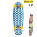 LANDER Ran da- cruising скейтборд 7.75inch THE RIO CRUISER фиолетовый спорт 