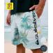 QUIKSILVER Quick Silver купальный костюм море хлеб трусы шорты для серфинга мужской вода суша обе для QBS262005