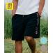 QUIKSILVER Quick Silver купальный костюм море хлеб трусы шорты для серфинга мужской вода суша обе для QBS262008