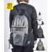 Dickies Dickies сумка napsakDK ATHLETIC KNAPSACK GRID 81638700