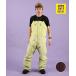 THE NORTH FACE The North Face Ray задний ride bib LAYBACK RIDE BIB одежда для сноуборда брюки bib брюки унисекс 26-27 скорейший покупка 