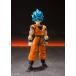 BANDAI SPIRITS Хԥå S.H.Figuarts ѡͥåɥѡ¹-Ķ-