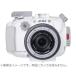 AOIe-o- I 10534 AOI-UH-EPL10R-WHT белый Olympus PEN E-PL9/10 специальный housing 