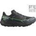 SALOMON Salomon [ мужской ] Thunder Cross Gore-Tex [ черный / зеленый gekou/ черный ][27.5cm] L47279000