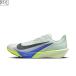 NIKE Nike [ мужской ] воздушный zoom соперник fly 4 [25.0cm] FV6040300