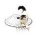 necoichi �L�� �L���b�`�E�~�[�E�C�t�E���[�E�L����2 �L�̂���