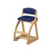KOIZUMI/ Koizumi CD4STEP стул FDC- 056NS NB темно-синий голубой 