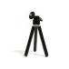 Groovy ���롼�ӡ� BIGFAN���꡼���ѥߥ˻��ӡ�����1/4������ͥ��դ��� 3KYAKU-MINI