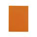 Beautone JAPAN/ Viewt n Japan файл Deluxe A4 2 карман orange TFD-A4-2COR