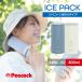 Peacock �s�[�R�b�N �A�C�X�p�b�N ���[�W �r�b�O�T�C�Y 500ml ABB-L30 �V���R�[���X�̂��^�C�v �X�X �M���Ǒ΍� �X�̂� ��p�O�b�Y �ۗ� �g�ѕX�̂� ����