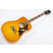 [ б/у ]Epiphone( Epiphone ) 2020 DOVE PRO Violinburst