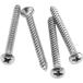 Fender(ե) Neck Mounting Screws (4) (Chrome)