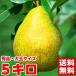 �R�`���Y ��ʃ��t�����X �G�i 5����