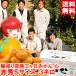 подарок по случаю конца года подарок Shizuoka префектура производство ..... три ke день мандарин сердце красный превосходящий S размер 3kg