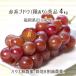  красный серия ..... дешево . Queen и т.п. превосходящий товар 4kg вид есть .. house нет пестициды . земля 8 сломан . пестициды нет химия удобрение культивирование 8~12. Fukuoka префектура рисовое поле . круг производство виноград 7 месяц последняя декада ~9 месяц средний . бесплатная доставка 