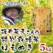 はえぬき 5kg 白米 米 お米 特別栽培米 山形県村山産 2020年産 送料無料