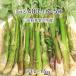  натуральный гора ..400g+ дикоросы 3~5 вид всего 1.0~1.5kg Yamagata префектура подлинный . река блок производство 5 месяц сверху .~5 месяц последняя декада входить гора *. брать этот день наклон отправка радиация талант не осмотр . инспекция settled бесплатная доставка 