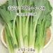  натуральный ....600g+ дикоросы 4~6 вид всего 1.5~2.0kg Yamagata префектура подлинный . река блок производство 5 месяц средний .~5 месяц последняя декада входить гора *. брать этот день наклон отправка радиация талант не осмотр . инспекция settled бесплатная доставка 