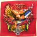  Yokohama новейший Eagle domine-shon! очарование. бандана EAGLE DOMINATION красный мужской женский включение в покупку 4 листов до стоимость доставки 180 иен 5