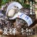 [6 месяц сверху . отправка ].. бренд этикетка есть лето блестящий 3~5 штук 1kg и больше прямая поставка от производителя устрица . подарок . имеется сырой еда для Tottori префектура производство скала gaki бесплатная доставка ( Hokkaido * Okinawa за исключением )