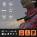 ɽ件˥ԥåꡪͳߤưLEDͥå饤 󤫤饤 FL-145BK 4536117047622 ɥƥå ɽ LED ͥå饤 λ 2ĤΥ饤ȿ
