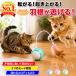  кошка .... автоматика мяч перо мышь кошка игрушка электрический кошка для вращение ko Logo ro игрушка один человек развлечение салон развлечение движение нехватка аннулирование -тактный отсутствует departure . отсутствие номер меры крепкий высокая прочность USB