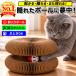  кошка игрушка мяч кошка .... коготь .. ржавчина колокольчик ввод мяч ko Logo ro видно .. кошка дырокол один человек развлечение салон развлечение отсутствие номер .. меры движение нехватка -тактный отсутствует departure . соты 
