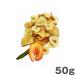  лучший Partner собака. закуска сухой овощи . фрукты 50g