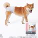 M-PETS... для девочки Homme tsuWASHABLE L