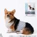 M-PETS... для мальчика Homme tsuWASHABLE L